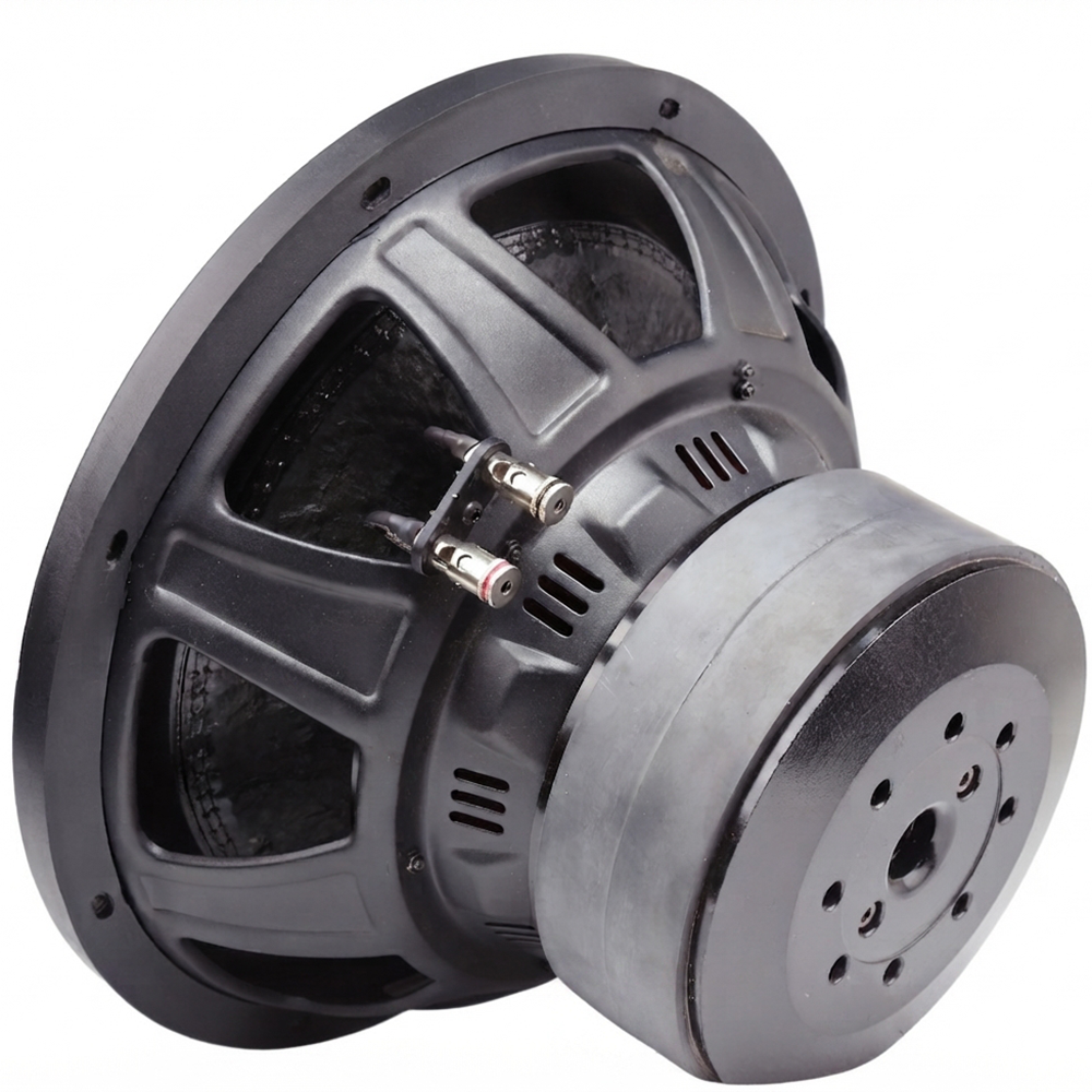 800W Subwoofer